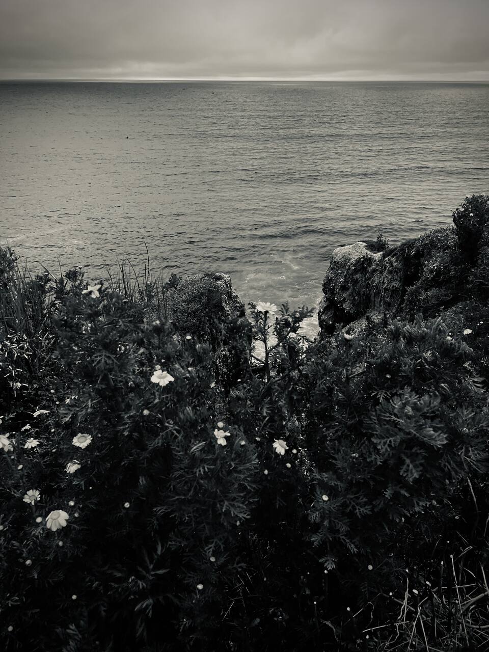 Point Loma, San Diego, CA
